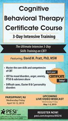 Intensive Cognitive Behavioral Therapy >> Seminar Detail Intensive Cognitive Behavioral Therapy >> Seminar Detail
