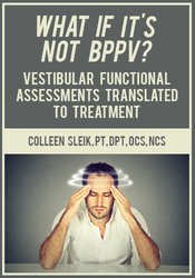 What If It’s Not BPPV? Vestibular Functional Assessments Translated to Treatment
