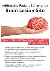 Addressing Patient Behavior by Brain Lesion Site