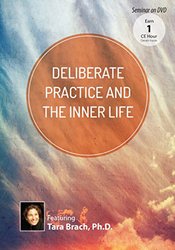 Deliberate Practice and the Inner Life
