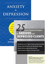 25 Custom Treatment Techniques Seminar & Anxiety + Depression Book - Bundle