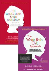 The Whole Brain Child Approach: Seminar Recording + Workbook