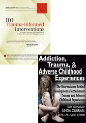 Adverse Childhood Experiences (ACES) Study Bundle 