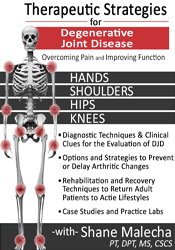 Therapeutic Strategies for Degenerative Joint Disease: