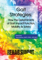 Gait Strategies: How the Determinants of Gait Impact Function, Mobility & Safety