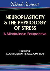 Neuroplasticity & the Physiology of Stress: A Mindfulness Perspective