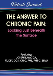 The Answer to Chronic Pain: Looking Just Beneath the Surface