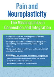 Pain and Neuroplasticity