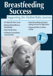 Breastfeeding Success: Supporting the Mother/Baby Journey