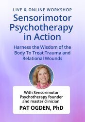 Sensorimotor Psychotherapy in Action: harness the wisdom of the body to treat trauma and relational wounds 1