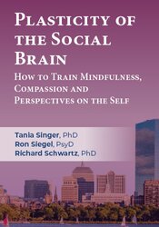 Plasticity of the Social Brain: How to Train Mindfulness, Compassion and Perspectives on the Self 1
