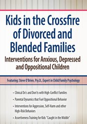 Kids in the Crossfire of Divorced and Blended Families: Interventions for Anxious, Depressed and Oppositional Children