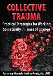 Collective Trauma: Practical Strategies for Working Somatically in Times of Change 1