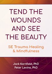 Tend the Wounds and See the Beauty: SE Trauma Healing & Mindfulness 1