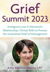 Ambiguous Loss in Narcissistic Relationships: Clinical Skills to Process the Unresolved Grief of Estrangement