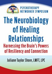 The Neurobiology of Healing Relationships: Harnessing the Brain’s Powers of Resiliency and Connection 1