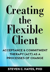 特価！ACCEPTANCE AND COMMITMENT THERAPY 字幕 Acceptance and Commitment Therapy: The Process and Practice