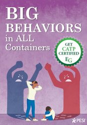 2-Day Big Behaviors in ALL Containers: 75+ Trauma-Informed Interventions for Dysregulated Children and the Adults Who Support Them