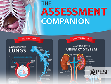 Physical Assessment