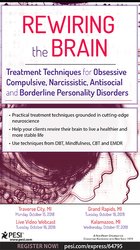 Rewiring the Brain: Treatment Techniques for Obsessive Compulsive, Narcissistic, Antisocial, and Borderline Personality Disorders 1