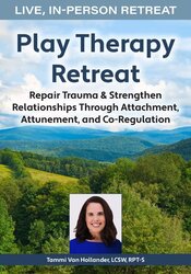 5-Day Play Therapy Retreat