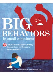 Big Behaviors in Small Containers