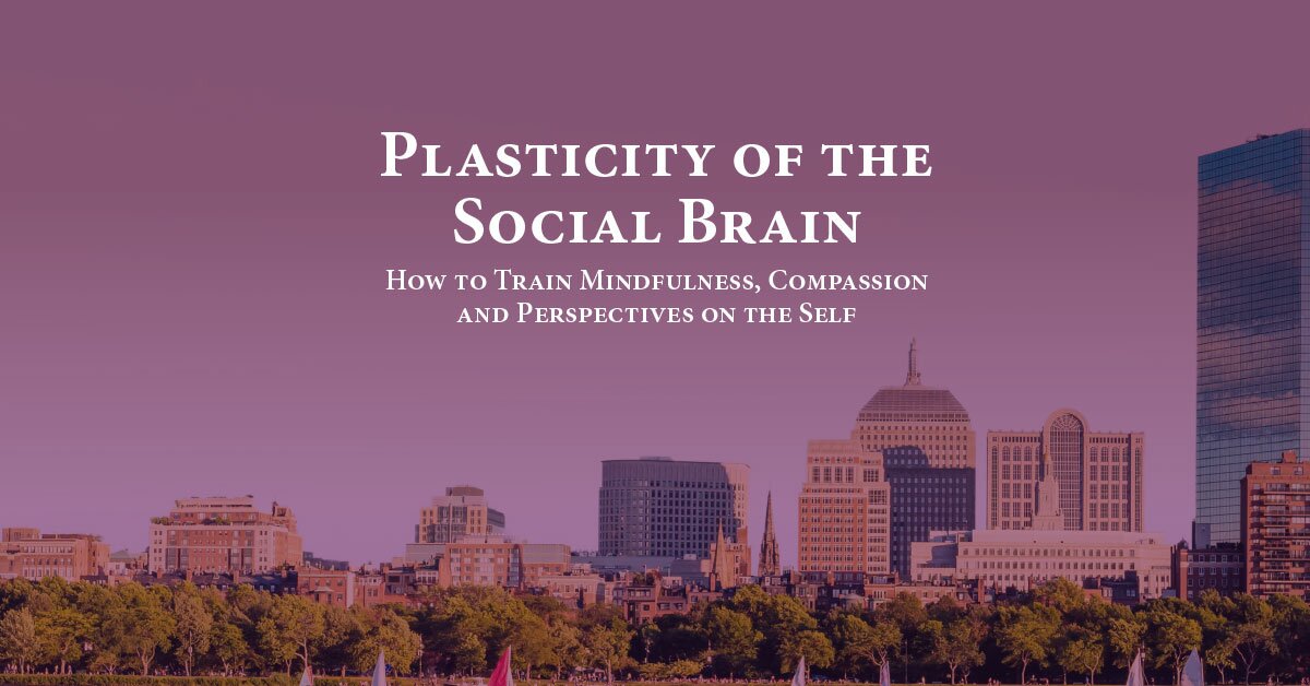 Plasticity of the Social Brain: How to Train Mindfulness, Compassion and Perspectives on the Self 2