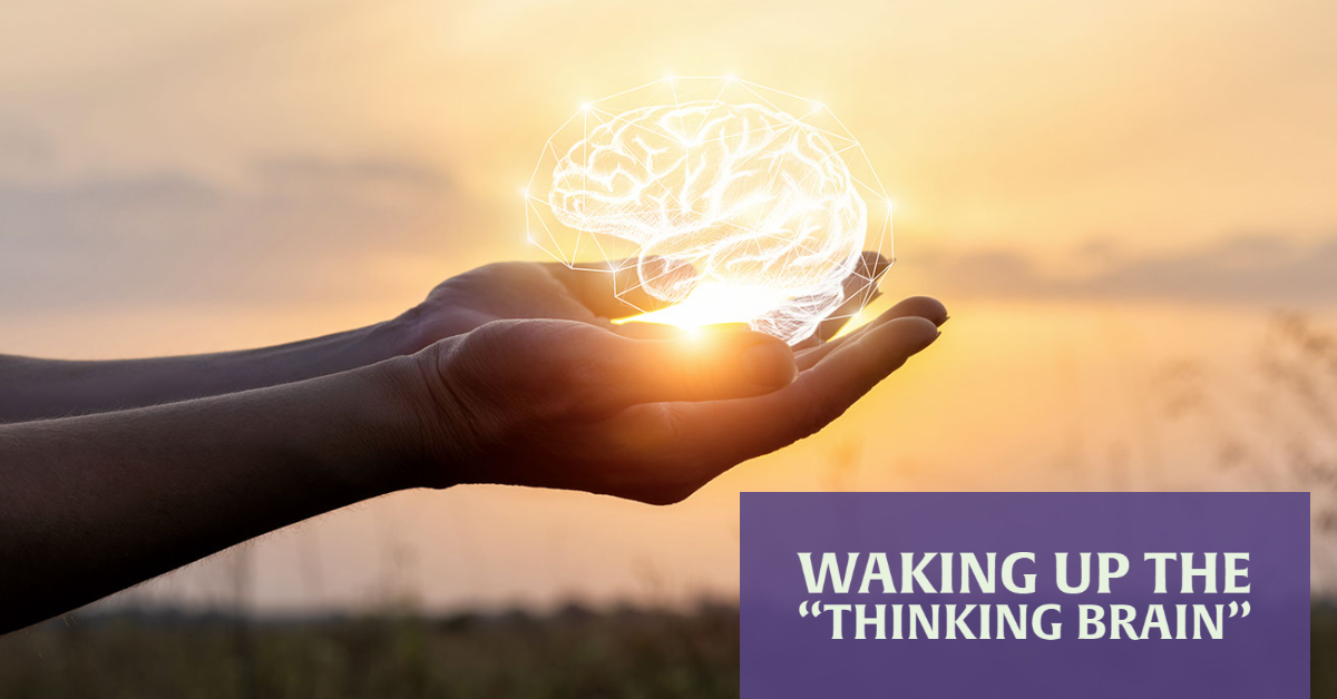 Waking Up The “thinking Brain”