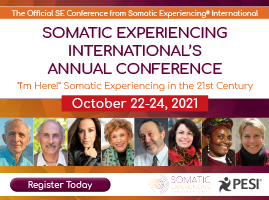 Somatic Experience Summit