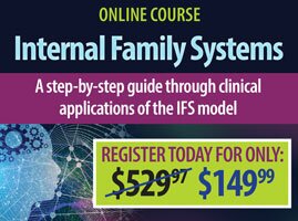Internal Family Systems: A Step-by-Step Guide Through Clinical Applications of the IFS Model